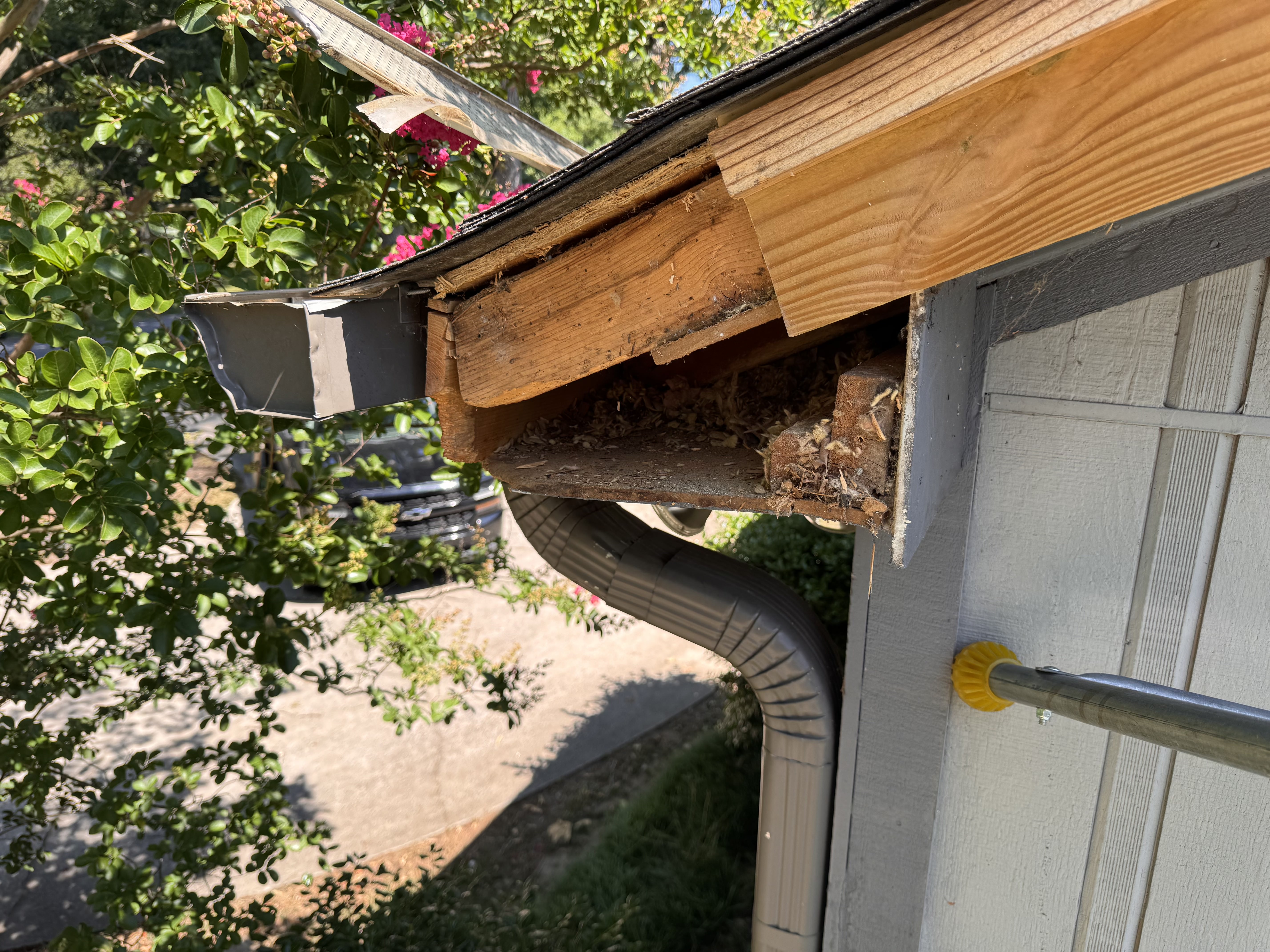 Wood Rot Before
